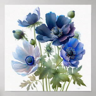 Blue Anemone Flowers Art Print Poster