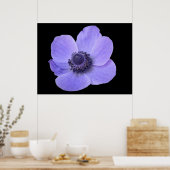 Blue Anemone Poster (Keuken)