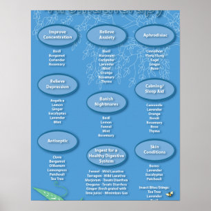 Blue Aromatherapie Chart Poster