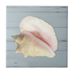 Blue Beach Conch Seashell Coastal Shell Wood Tegeltje