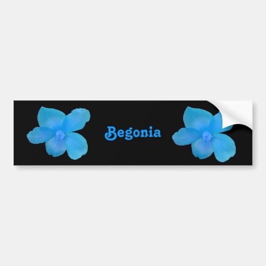 Blue Begonia  Bumpersticker (Voorkant)