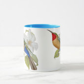 Blue Bellied Bee Eater and Empress of India Mok (Midden)