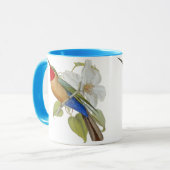 Blue Bellied Bee Eater and Empress of India Mok (Voorkant links)