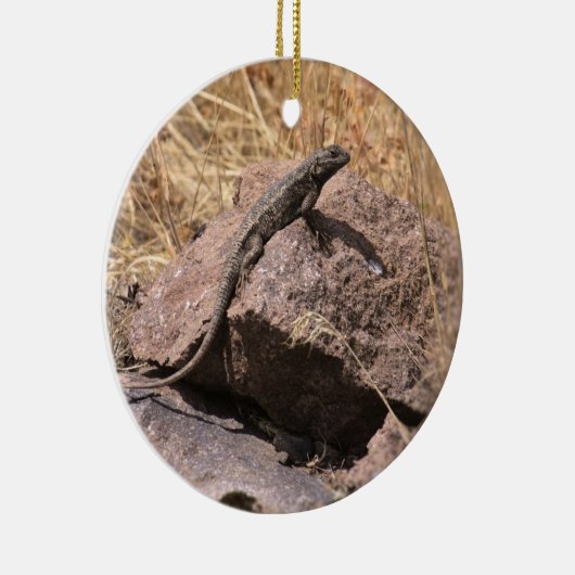 Blue Belly Lizard Ornament (Rechts)