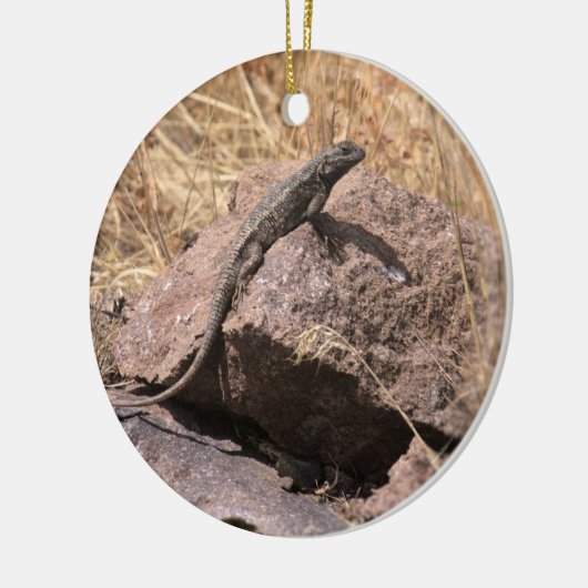 Blue Belly Lizard Ornament (Links)