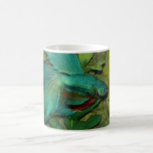 Blue Betta aquarium de poisson Mug