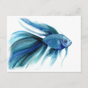 Blue Betta Fish Briefkaart