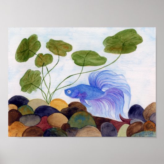 Blue Betta Poster (Voorkant)