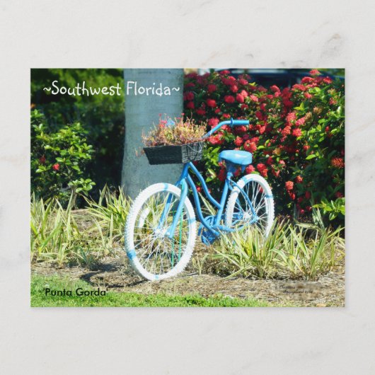 Blue Bicycle Southwest Florida Briefkaart (Voorkant)