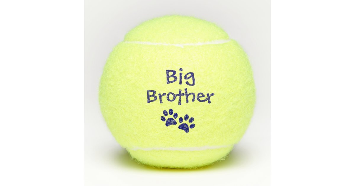 blue_big_brother_pet_dog_cat_speelgoed_tennisballen-r6a5dccddb99644aa9afa4cf022f9cb06_edo4w_630.jpg?rlvnet=1&view_padding=%5B285%2C0%2C285%2C0%5D