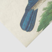 Blue Bird Ephemera Decoupage Tissue Paper Tissuepapier