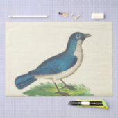 Blue Bird Ephemera Decoupage Tissue Paper Tissuepapier