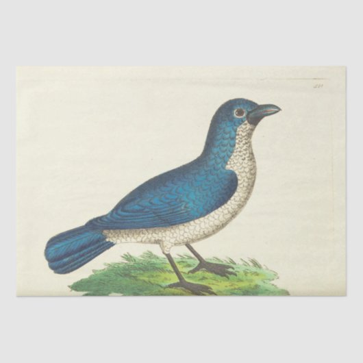 Blue Bird Ephemera Decoupage Tissue Paper Tissuepapier (Voorkant)