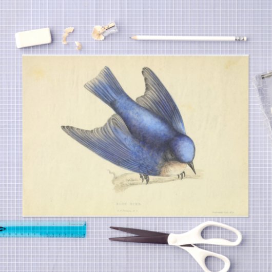 Blue Bird Ephemera Decoupage Tissuepapier (Craft)
