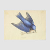 Blue Bird Ephemera Decoupage Tissuepapier (Voorkant)