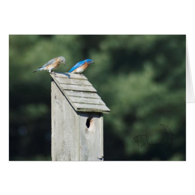 Blue Bird House, carte (Devant Horizontal)