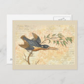 Blue Bird on Branch Briefkaart (Voorkant / Achterkant)