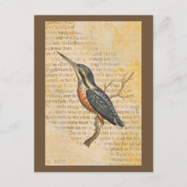 Blue Bird on Branch Briefkaart