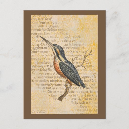 Blue Bird on Branch Briefkaart (Voorkant)