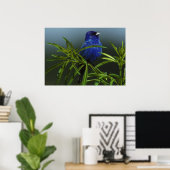 Blue Bird Photo Natuur Wall Poster (Thuiskantoor)