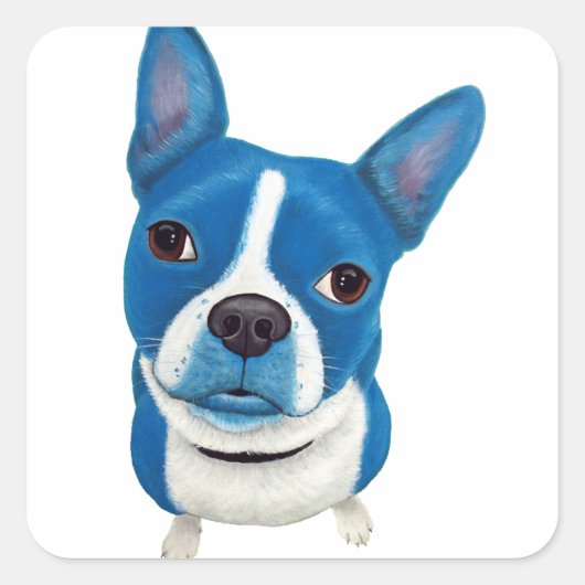 Blue Boston Terrier Vierkante Sticker (Voorkant)