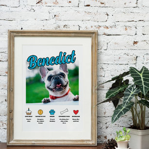 Blue Boy Gepersonaliseerd over zijn hond Perfect Poster