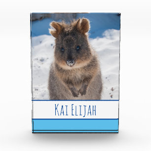 Blue Boys gepersonaliseerde Quokka op het strand Fotoblokken