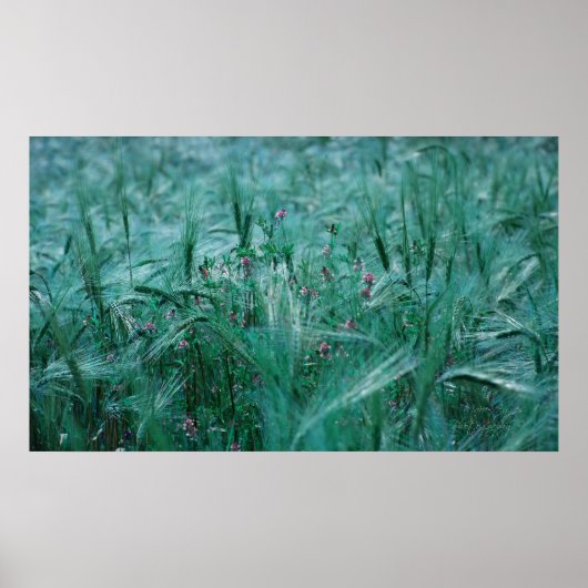 Blue Breath Poster (Voorkant)