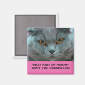 Blue British Shorthair Cat frigo aimant (Recto/Verso)