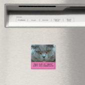 Blue British Shorthair Cat frigo aimant (In Situ (Lave-vaisselle))
