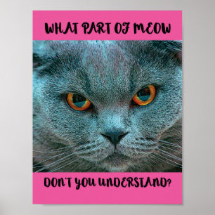 Blue British Shorthair Cat grappig en grappig Poster