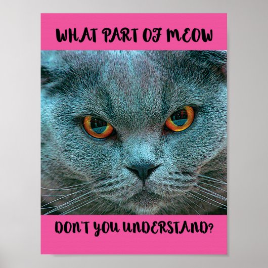 Blue British Shorthair Cat grappig en grappig Poster (Voorkant)