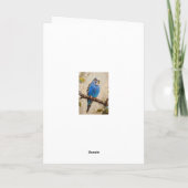 Blue Budgie Kaart (Achterkant)