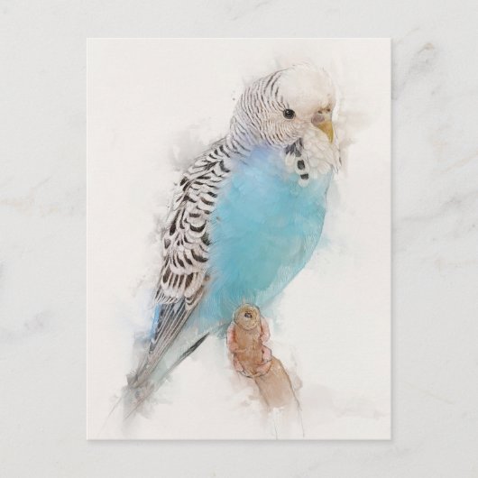 Blue Budgie Portrait Briefkaart (Voorkant)