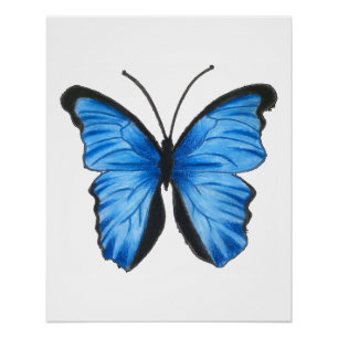 Blue Butterfly Art Perfect Poster