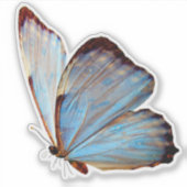 Blue Butterfly Decorative Custom Vinyl Sticker (Voorkant)