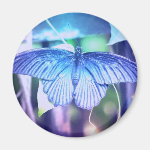 Blue Butterfly Magnet Magneet