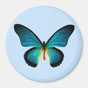 Blue Butterfly Magnet Magneet