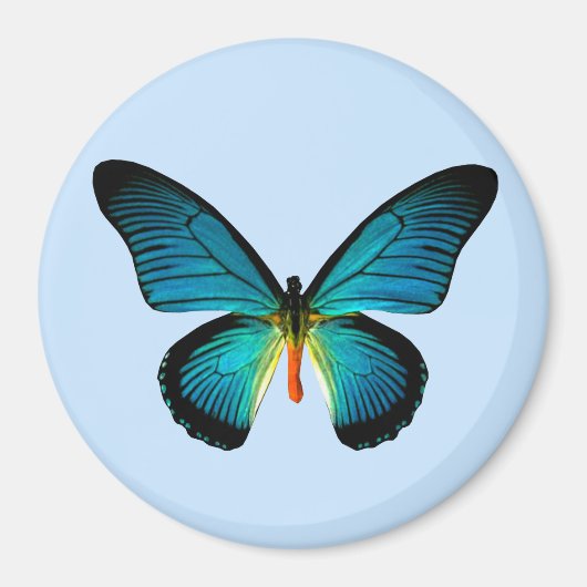 Blue Butterfly Magnet Magneet (Voorkant)
