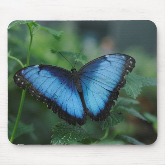 Blue Butterfly Mousepad Muismat (Voorkant)