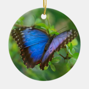 Blue Butterfly-Ornament Keramisch Ornament