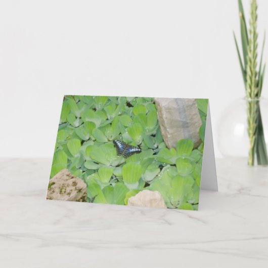 "Blue Butterfly" Paasfeest Kaart (Voorkant)