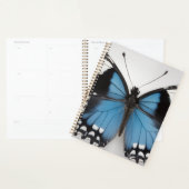 Blue butterfly planner (Devant avec enveloppe)