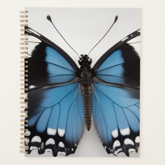 Blue butterfly planner (Devant)
