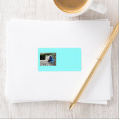 Blue Butterfly Resting Labels (Insitu)