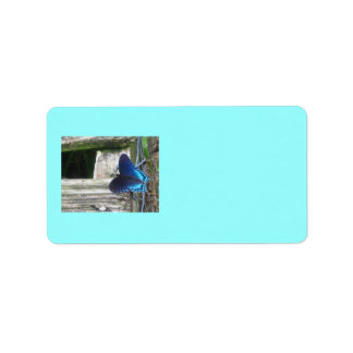 Blue Butterfly Resting Labels