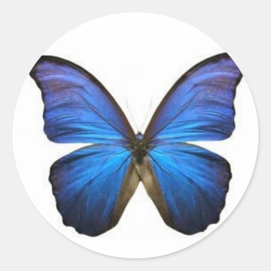 Blue Butterfly-stickers Ronde Sticker (Voorkant)