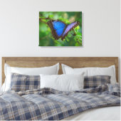 Blue Butterfly Stretched Canvas (Insitu (Slaapkamer))