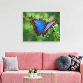 Blue Butterfly Stretched Canvas (Insitu (Woonkamer))