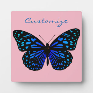 Blue Butterfly Thunder_Cove Fotoplaat